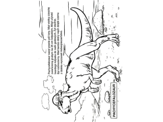 Kolorowanka KRZESIEK A5 16k. Dinoazury