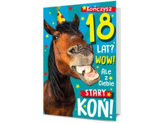 Kartki karnet PAN DRAGON K.B6 1704 Urodziny 18