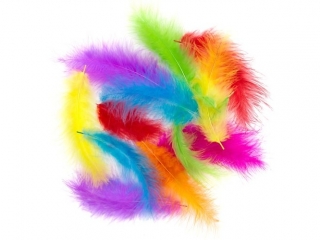 Pióra indycze DPCRAFT 10-15 cm, 30 szt. Brights