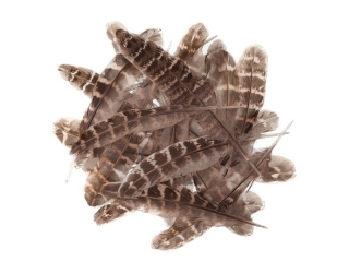 PIRA KACZE 15-20 CM, 5 G