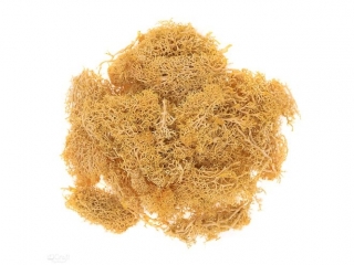 Mech DPCRAF ochrowy, 30g