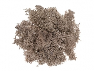 Mech DPCRAF brzowy, 30g
