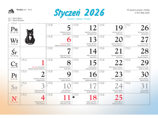Kalendarz cienny rodzinny LUCRUM - Koty i Kotki 2026
