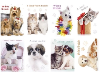 Kartki laurka B6B -brokat  Urodziny zest.481  Psy i koty