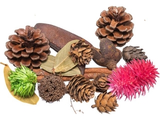 Susz dekoracyjny waga: 30~40g