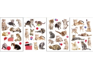 Naklejki 3d - koty rozmiar: 12 x 19cm wzory: 4