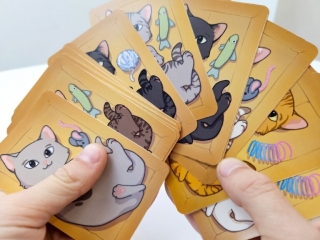 Podrna gra karciana ALEXANDER Pudekotki