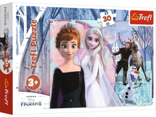 Puzzle 30 TREFL Kraina Lodu - Magiczna Kraina Lodu