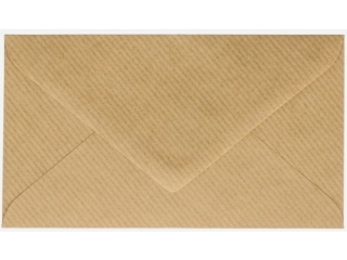 Koperty EKO kraft na pieniądze 150x85 opak 50 szt. zest.536