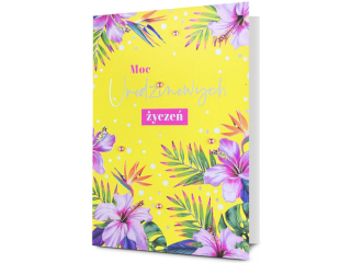 Kartki karnet PAN DRAGON  HM 200-3460  Urodziny