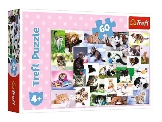 Puzzle 60 TREFL Koci świat