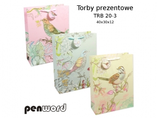TORBY PREZENTOWE TRB 20-3 40x30x12 [opakowanie=12szt]