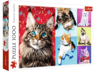 Puzzle 1000 TREFL Wesoe koty