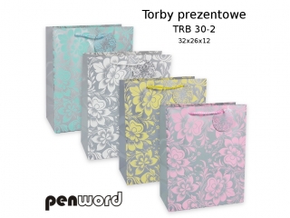 TORBY PREZENTOWE TRB 30-2 32x26x12 [opakowanie=12szt]