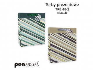 TORBY PREZENTOWE TRB 48-2 32x26x12 [opakowanie=12szt]