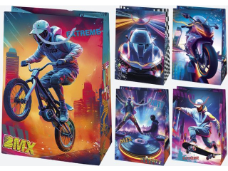 Torebka ozdobna POL-MAK 10szt. T5_OG_201 230x320x110 OG�LNA ch�opiec, pojazdy, m�skie