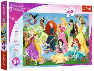 Puzzle  100 TREFL Czarujce Ksiniczki