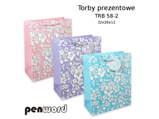 TORBY PREZENTOWE TRB 58-2 32x26x12