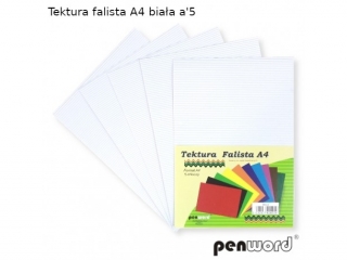 Tektura falista PENWORD A4 5ark. - biała