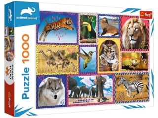 Puzzle 1000 TREFL Animal Planet - Dzika natura