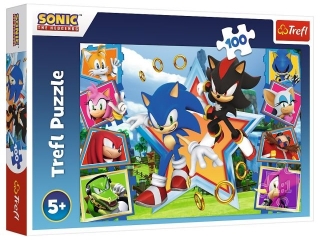 Puzzle  100 TREFL Poznaj Sonica / SEGA Sonic The Headgehog