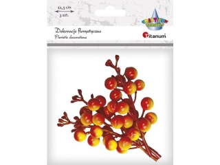 Ozdoba na piku Titanum Craft-Fun Series gałązki winobluszczu