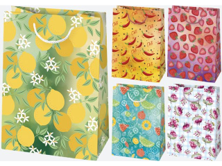 Torebka ozdobna POL-MAK 10szt. T5_OG_219 230x320x110 OGÓLNA