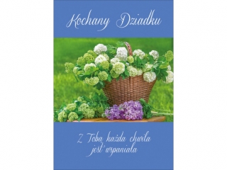 Kartki karnet B6 PAN DRAGON K-1297 Dzień Dziadka