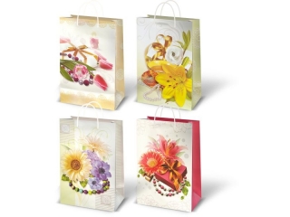 Torebka lakier.15*19cm DEL  TM